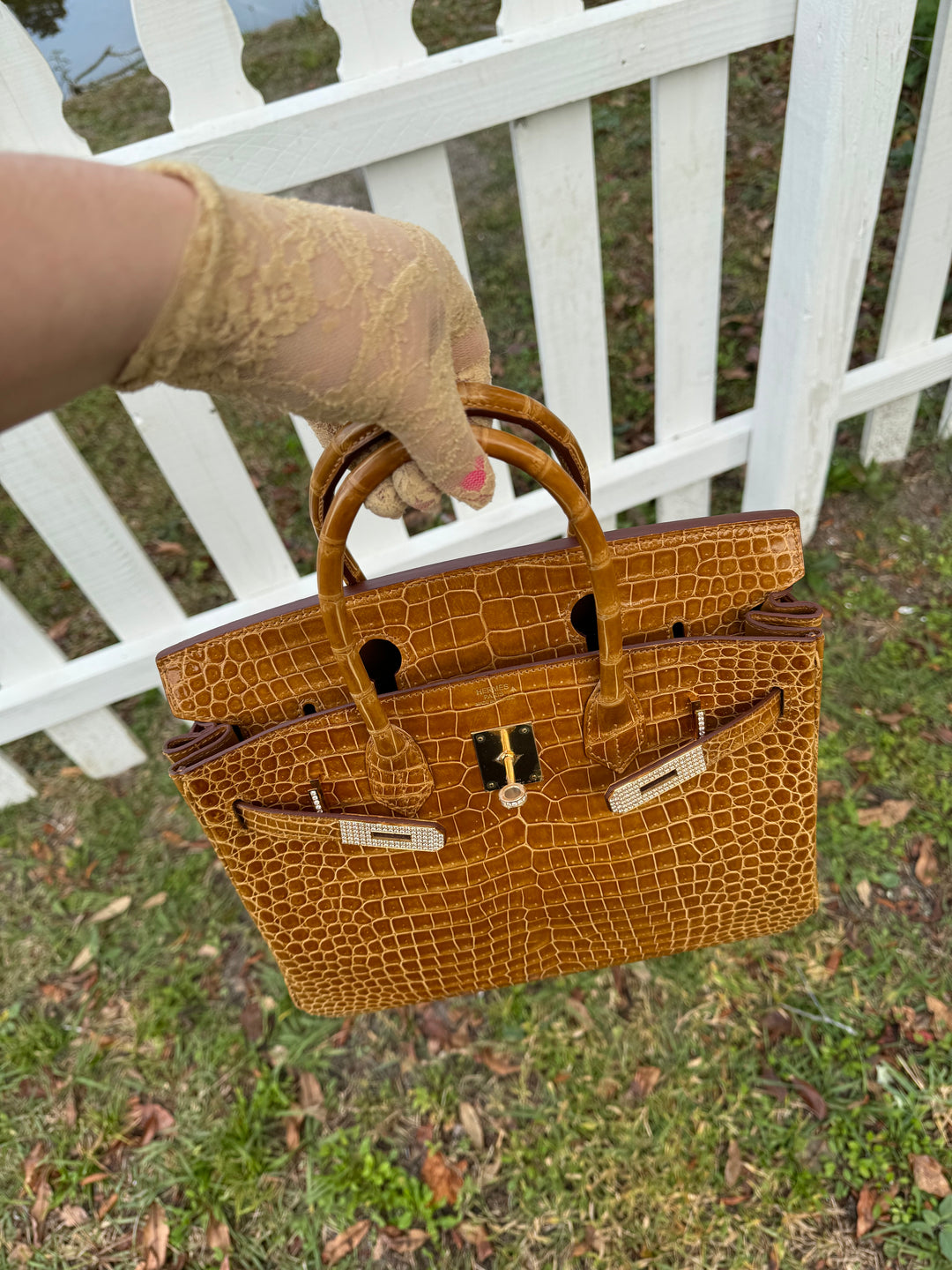 Hermes Crocodile Diamond Birkin 30