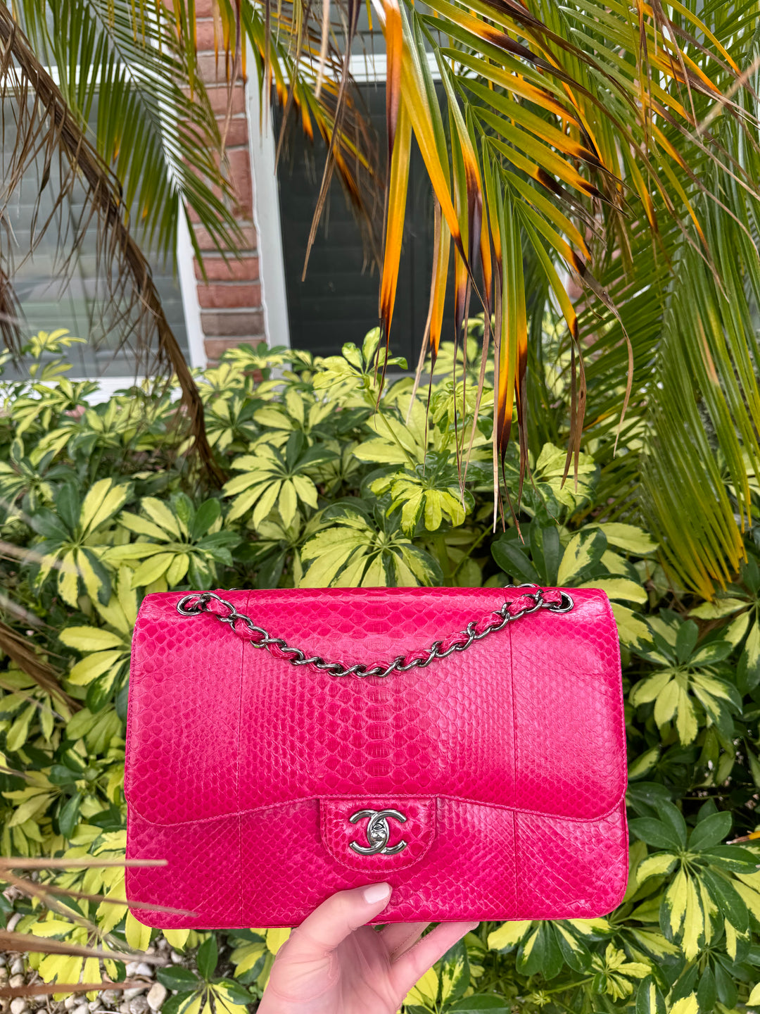 Chanel Fuschia Python Jumbo Double Flap