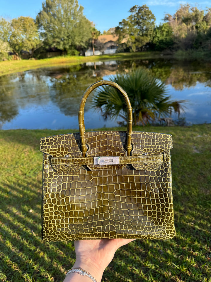 Hermes Crocodile Diamond Birkin 30