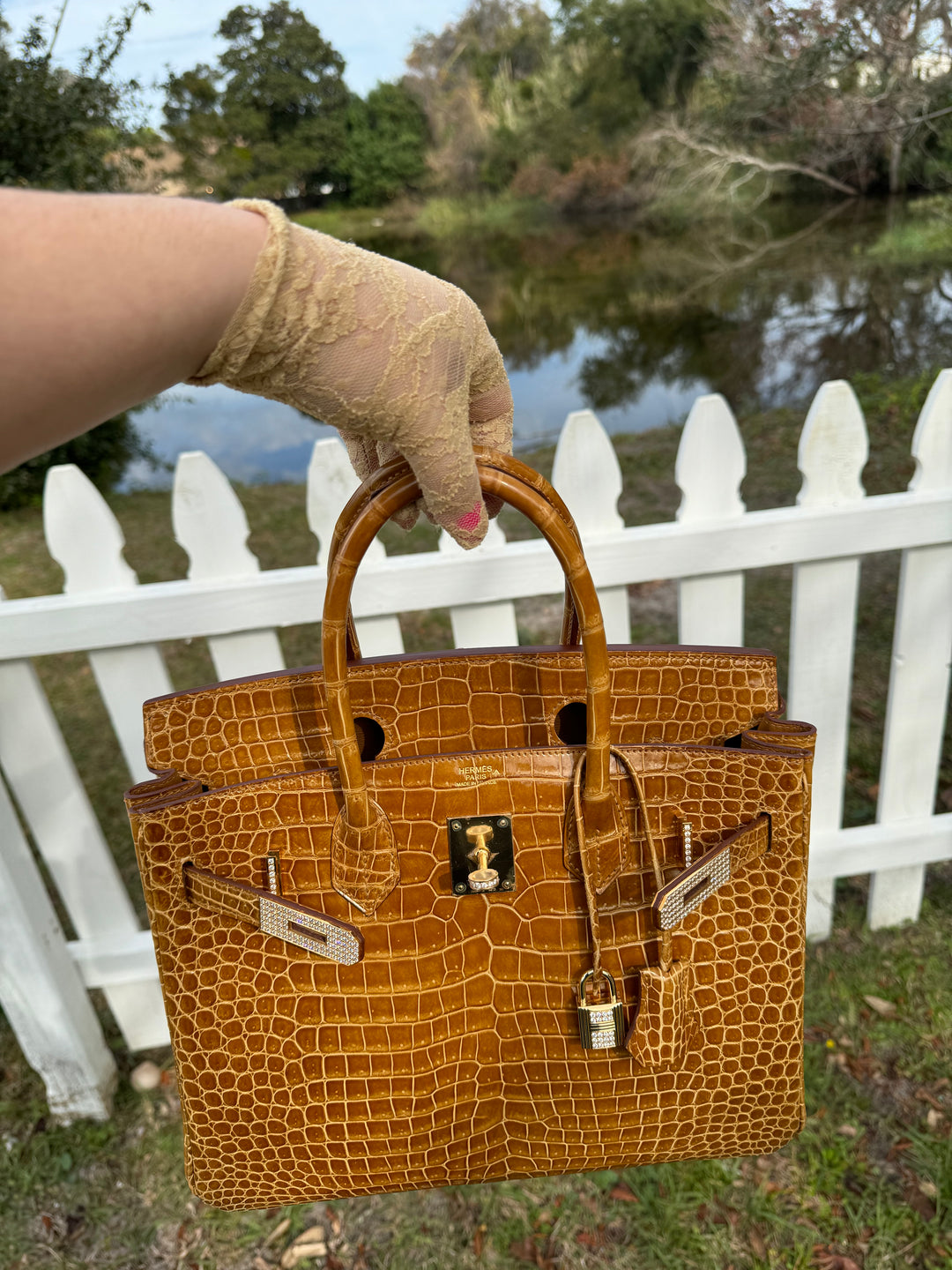 Hermes Crocodile Diamond Birkin 30