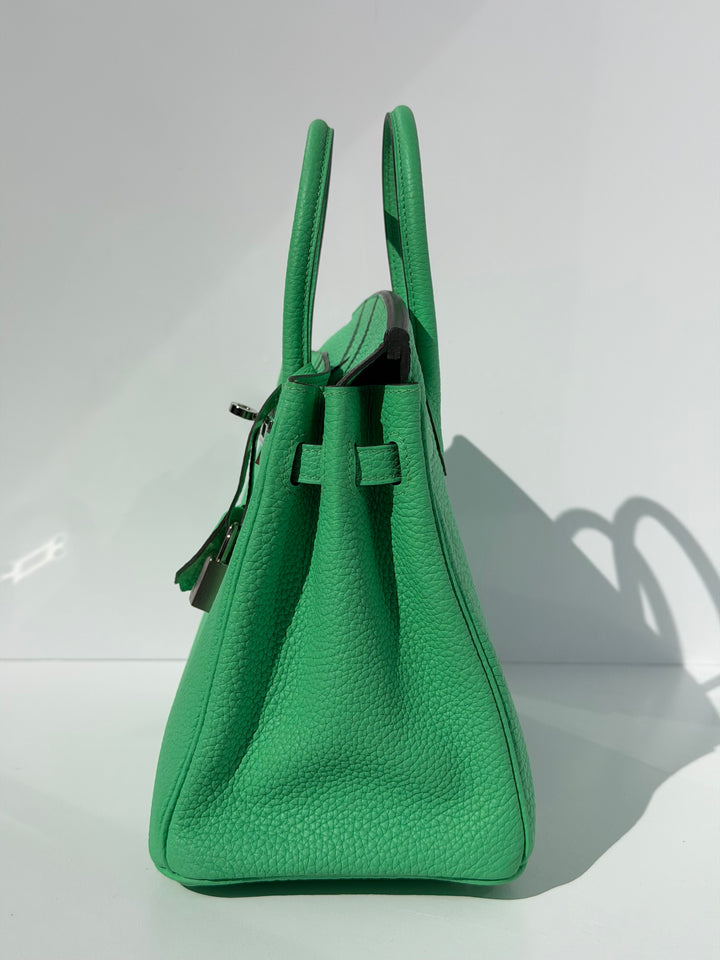 Hermès Birkin 25 Vert Comics Togo Palladium Hardware 2023