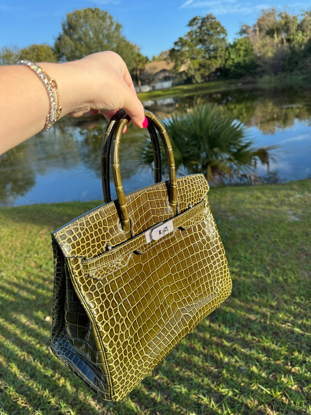 Hermes Crocodile Diamond Birkin 30