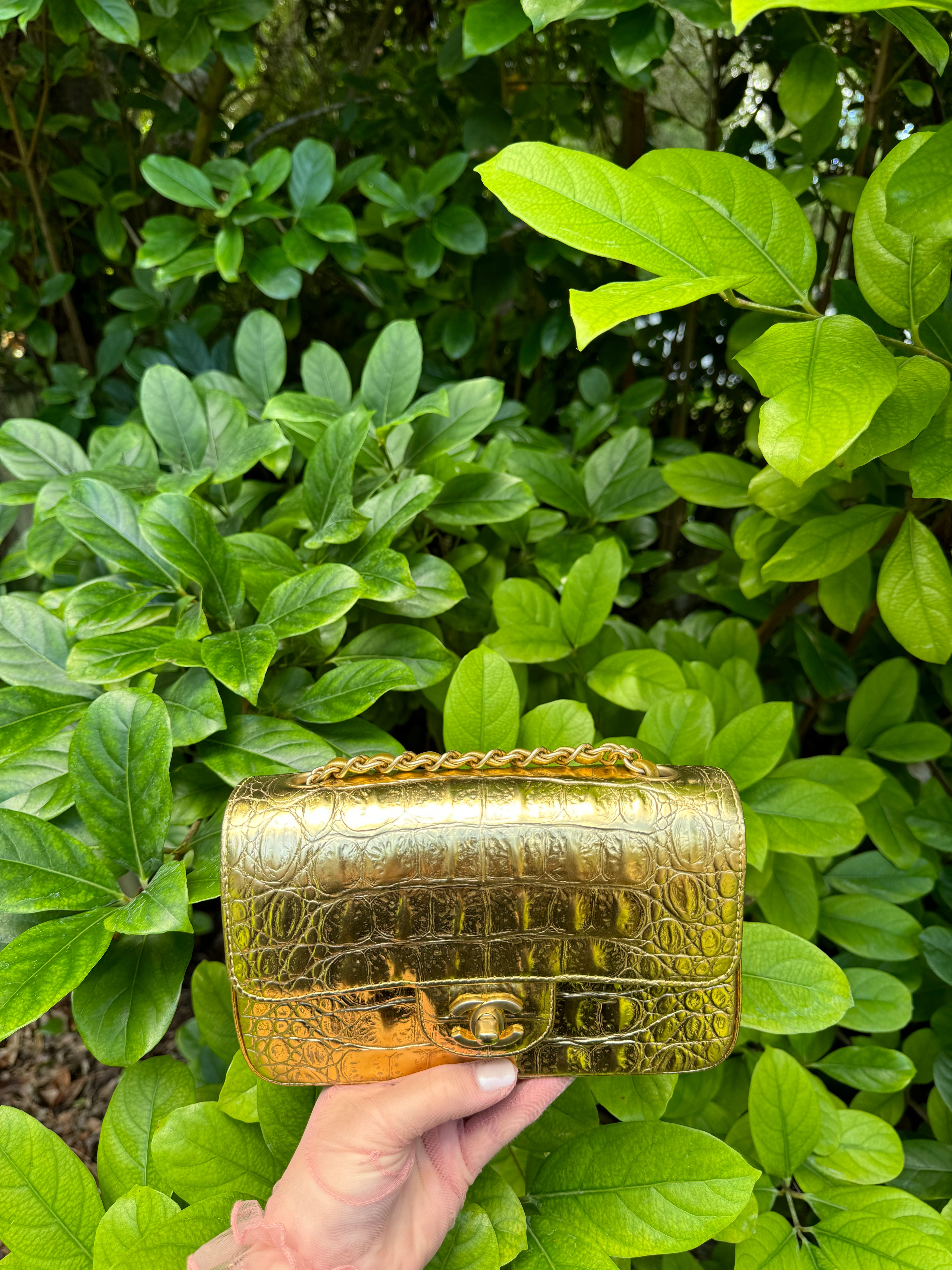 CHANEL ゴールド ケース Chanel Gold Premiere Plexiglass Minaudiere Clutch Bag | eBay