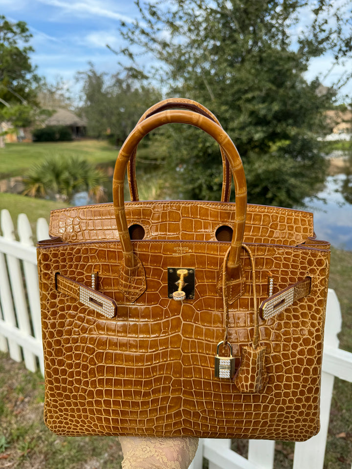Hermes Crocodile Diamond Birkin 30