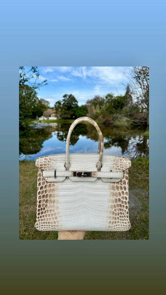 Hermes Himalaya Crocodile Birkin 30