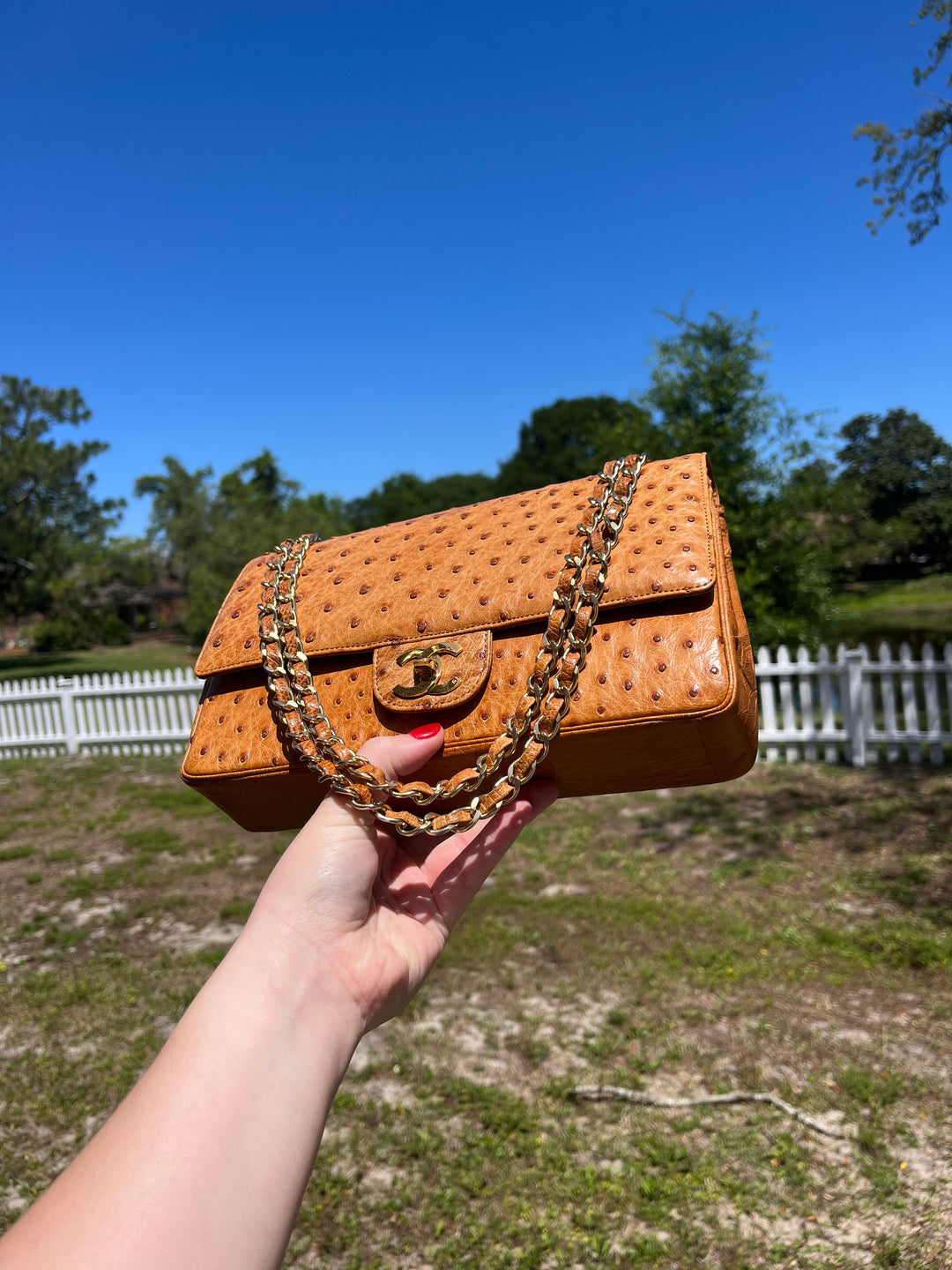 Chanel Rare Vintage Ostrich Medium Double Flap Bag