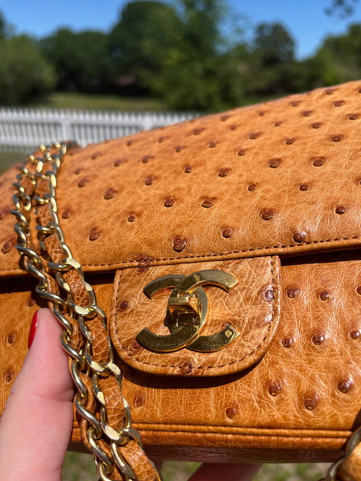 Chanel Rare Vintage Ostrich Medium Double Flap Bag