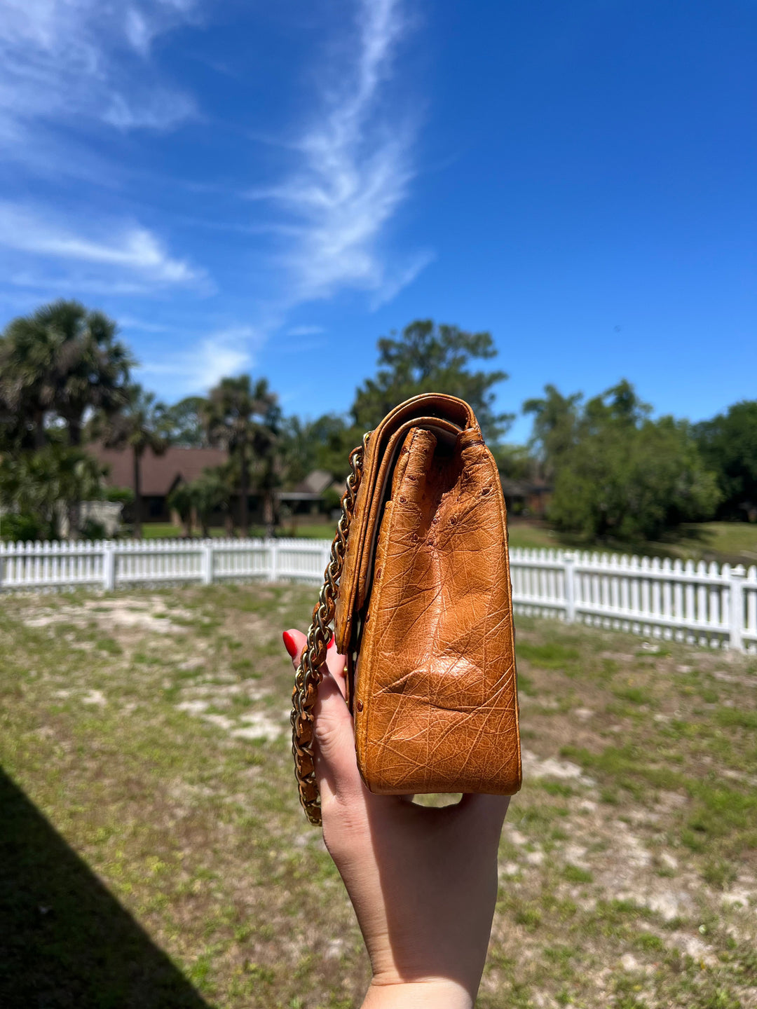 Chanel Rare Vintage Ostrich Medium Double Flap Bag