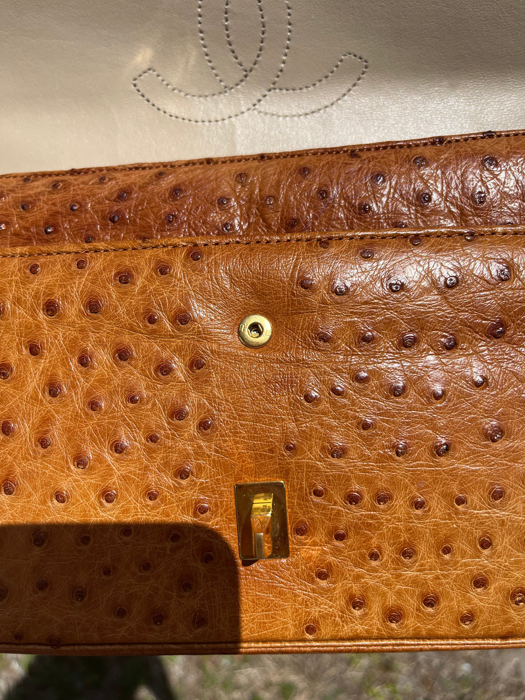 Chanel Rare Vintage Ostrich Medium Double Flap Bag