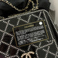 Limited edition Chanel Runway Black Resin Crystal Pearl Evening Clutch Shoulder Box