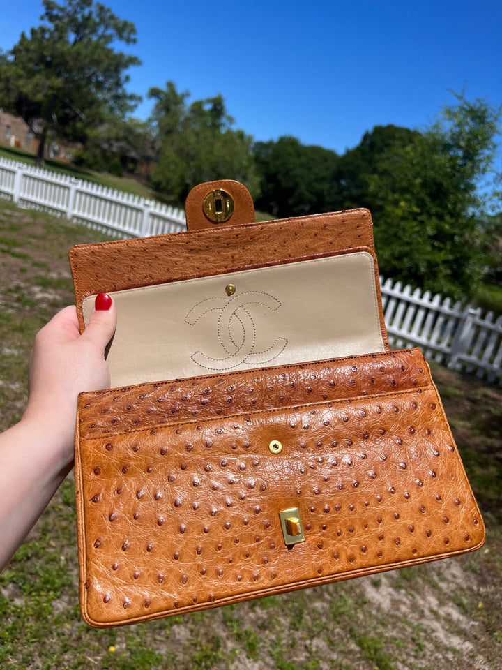 Chanel Rare Vintage Ostrich Medium Double Flap Bag