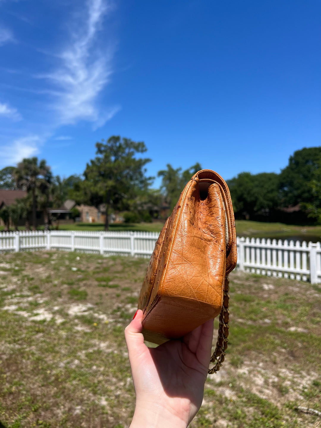 Chanel Rare Vintage Ostrich Medium Double Flap Bag