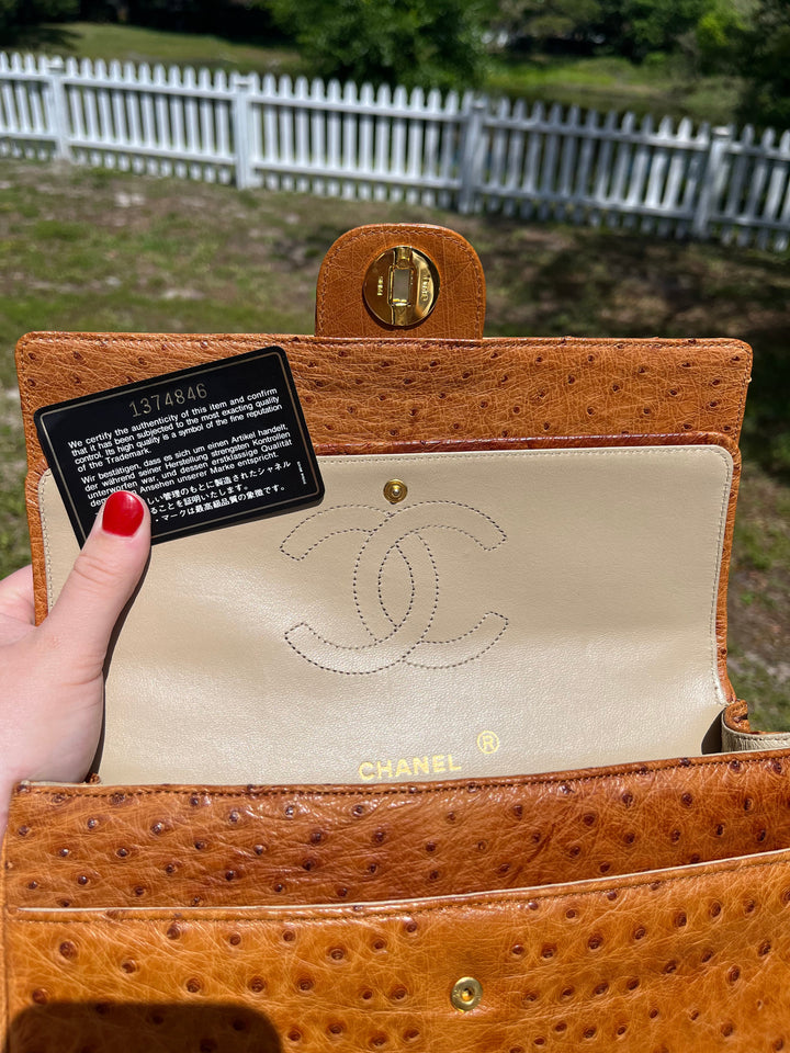 Chanel Rare Vintage Ostrich Medium Double Flap Bag