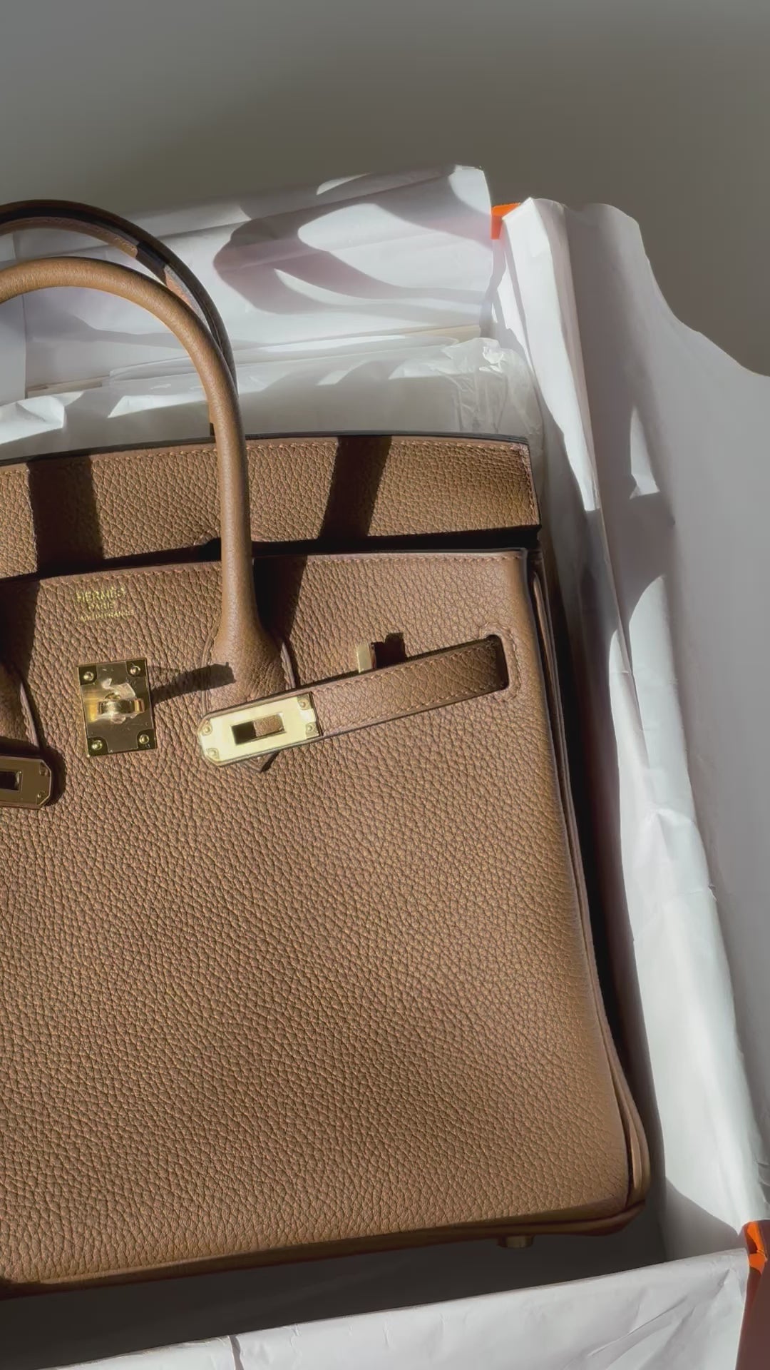 NIB 2024 Hermes Alezan Togo Birkin 25