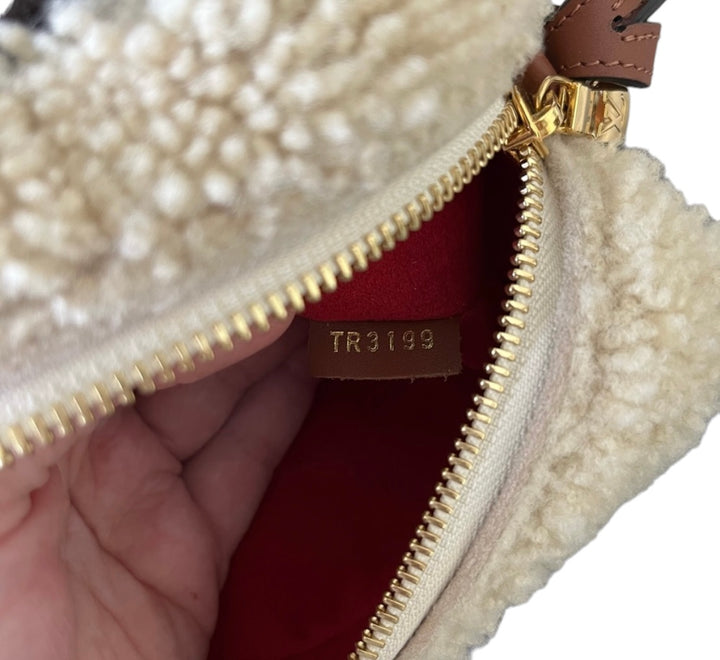 Louis Vuitton 2019 Monogram Teddy Beach Pouch